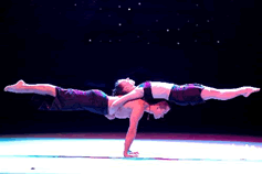 Beijing Wuqiao Acrobatics One Day Tour